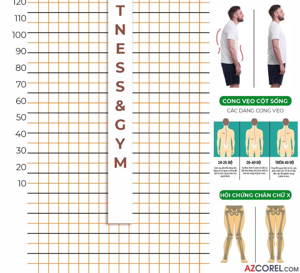 272 demo poster kien thuc ve xuong gym 3.png