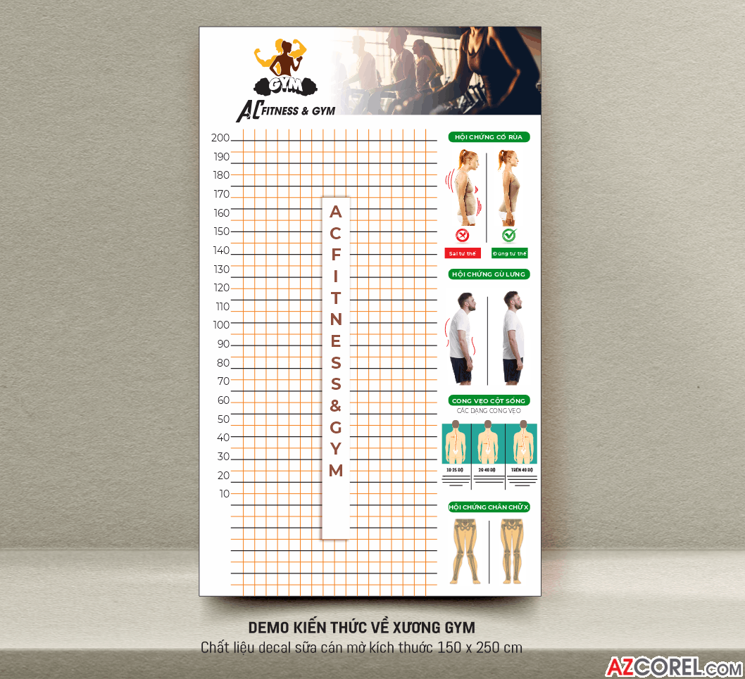 Demo poster kiến thức về xương gym file corel x7
