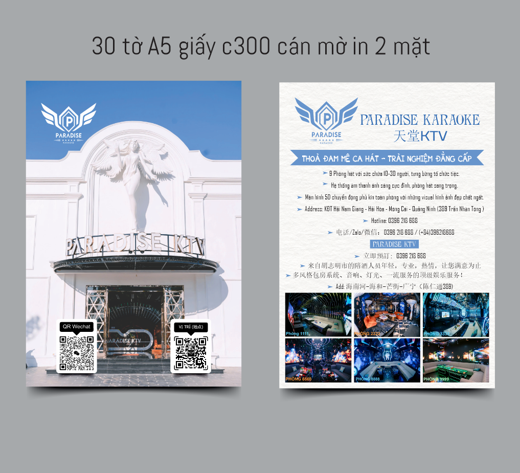 Thiết kế mẫu Tờ rơi Paradise Karaoke KTV