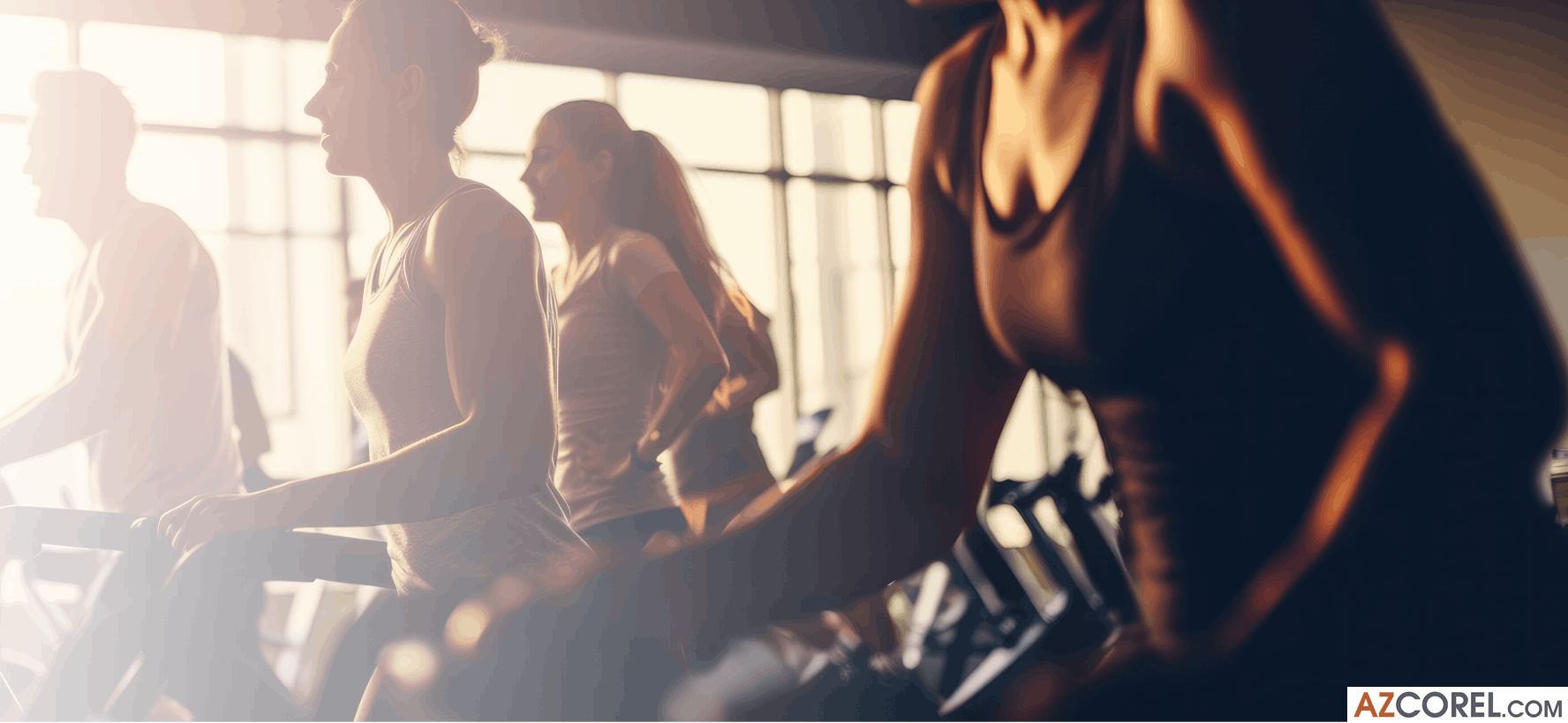 272 demo poster kien thuc ve xuong gym 5.png