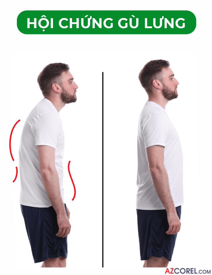 272 demo poster kien thuc ve xuong gym 7.png