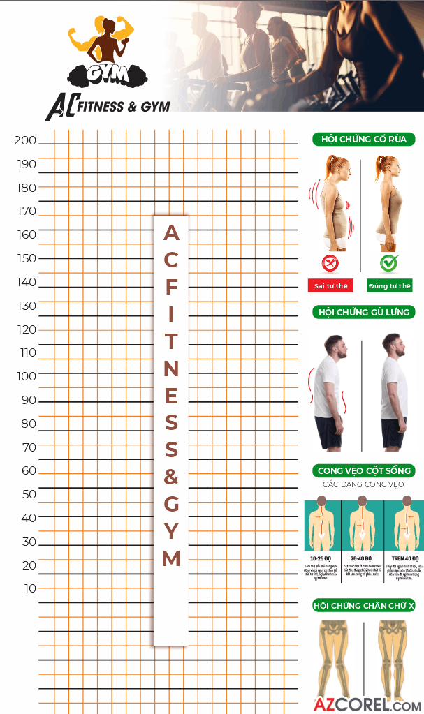 272 demo poster kien thuc ve xuong gym 10.png
