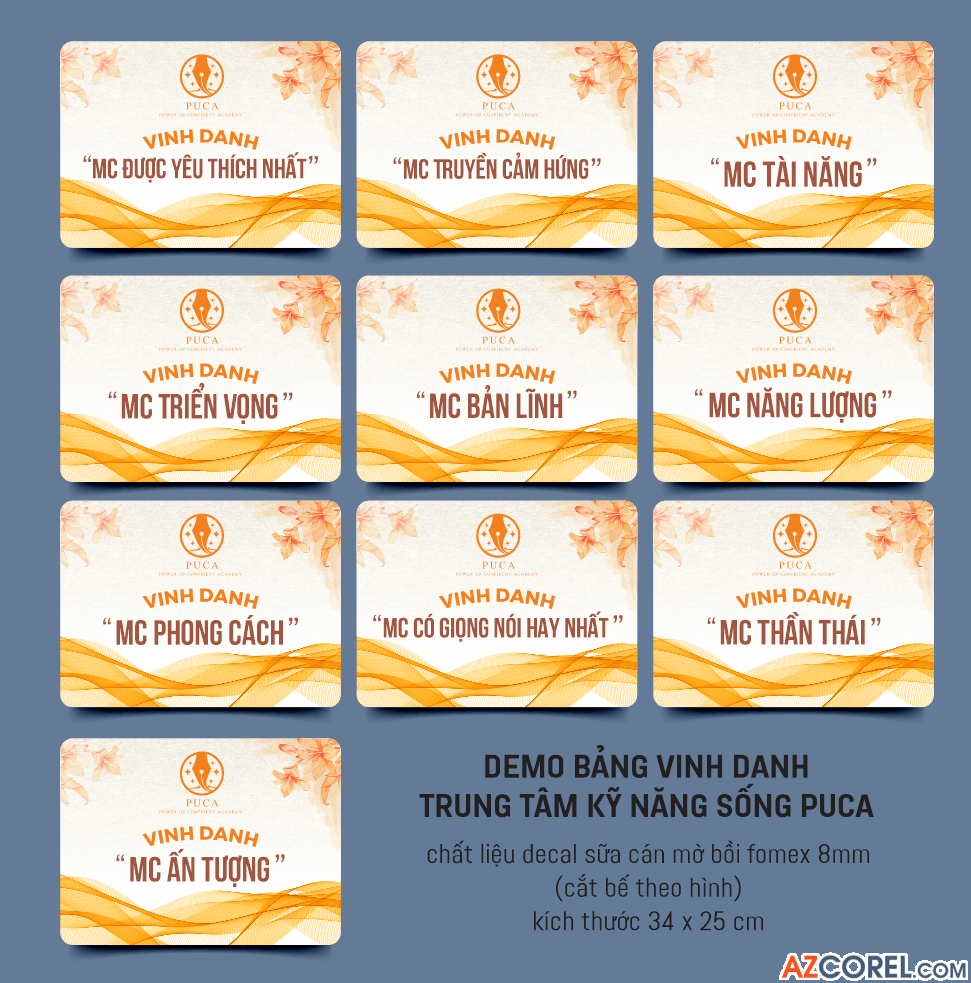 352 bang vinh danh trung tam ky nang song puca 3.png